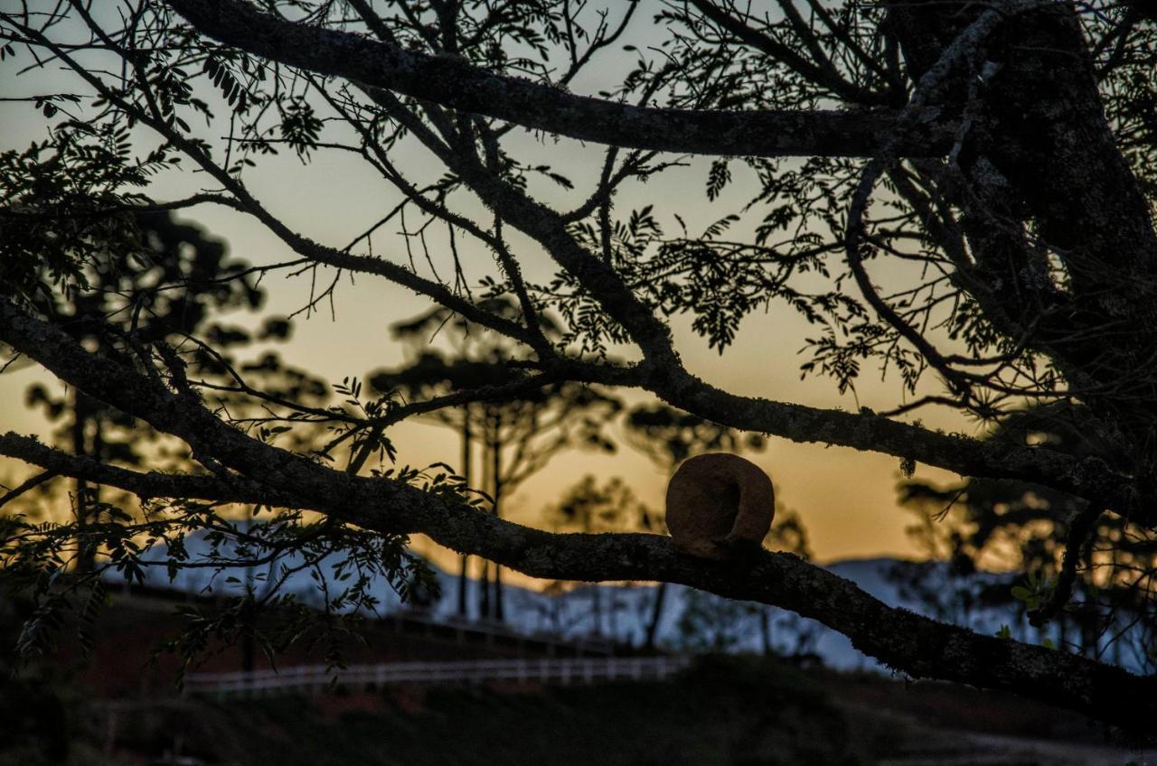 Villaggio da Mata Santo Antônio do Pinhal Esterno foto